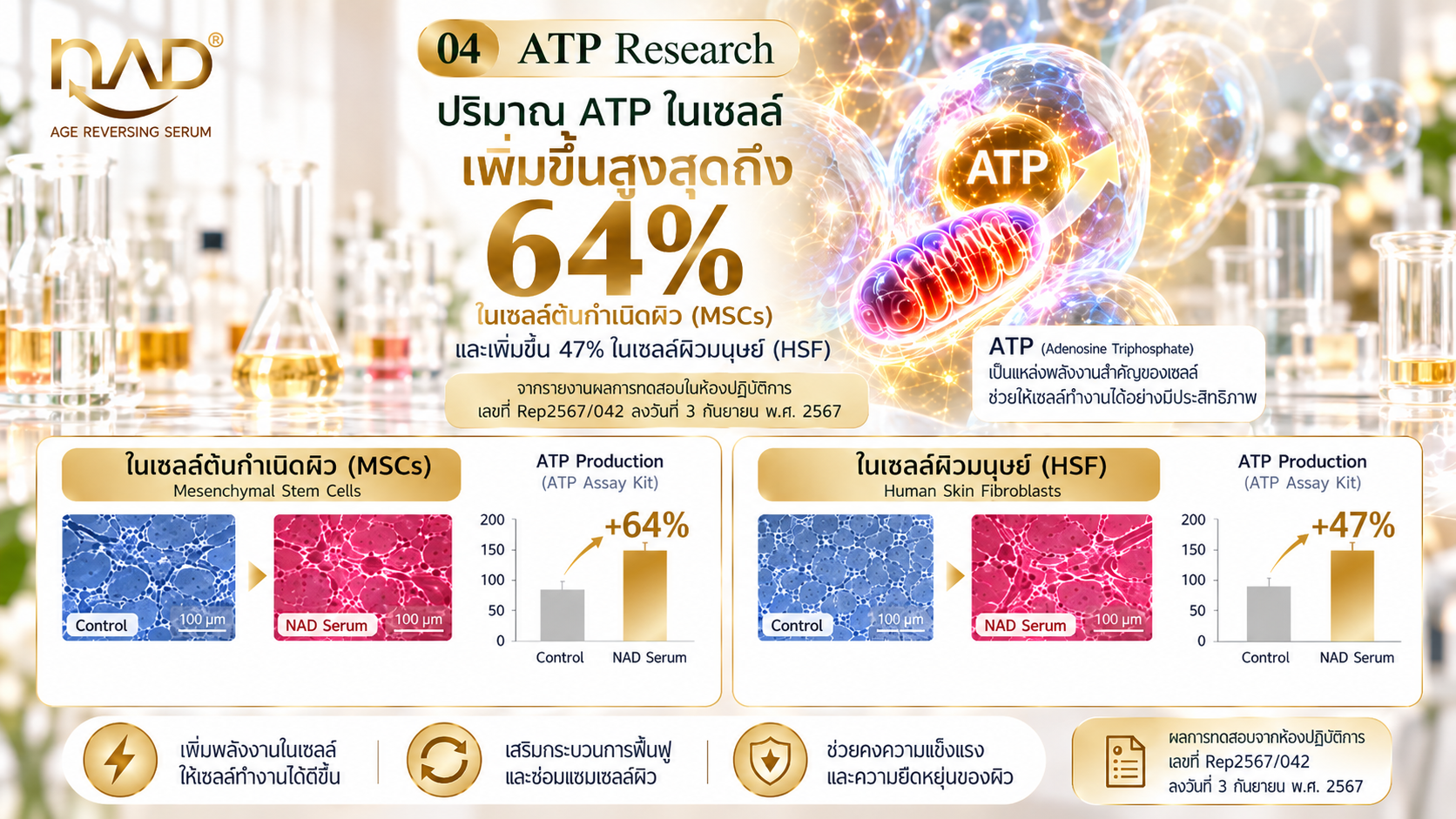 Antioxidant Research NAD age reversing serum เซรั่มการแพทย์ย้อนวัย